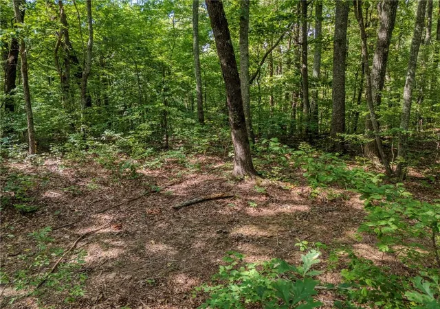 Photo 3 of Sale Pending at 0 Clearview Dr, Jasper, GA 30143 | MLS# 7839936 | Listing updated on 2026-10-09