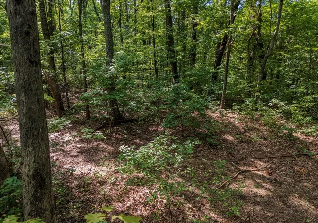 Photo 3 of Sale Pending at 0 Clearview Dr, Jasper, GA 30143 | MLS# 7839936 | Listing updated on 2026-10-09