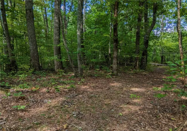 Photo 4 of Sale Pending at 0 Clearview Dr, Jasper, GA 30143 | MLS# 7839936 | Listing updated on 2026-10-09