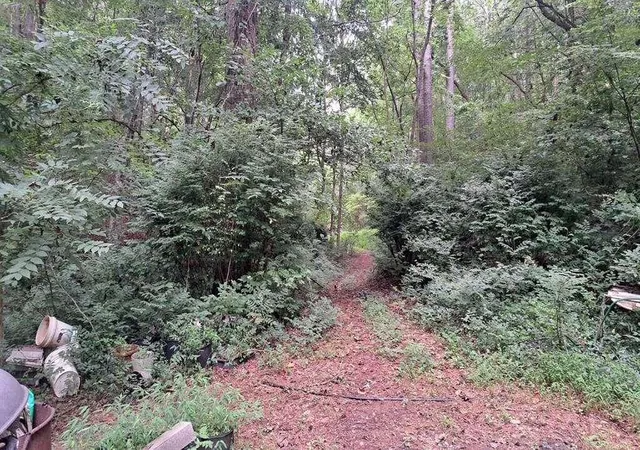 Photo 15 of Single family home for sale at 202 Standing Rock Ln, Ellijay, GA 30540 | MLS# 7832848 | Listing updated on 2026-09-05