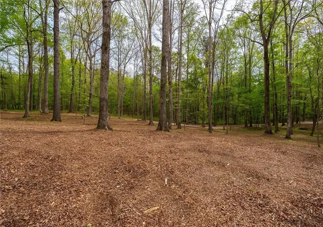 Photo 18 of Land for sale at 87 Wildwood Dr, Temple, GA 30179 | MLS# 7835781 | Listing updated on 2026-09-11