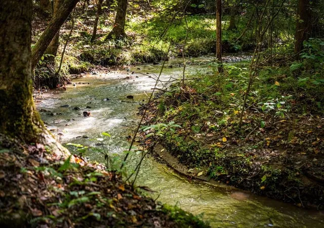 Photo 1 of Land for sale at Lt 2 Pheasant Tail Tr, Ellijay, GA 30536 | MLS# 7858689 | Listing updated on 2026-10-26