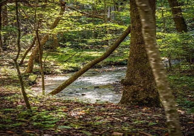 Photo 2 of Land for sale at Lt 2 Pheasant Tail Tr, Ellijay, GA 30536 | MLS# 7858689 | Listing updated on 2026-10-26