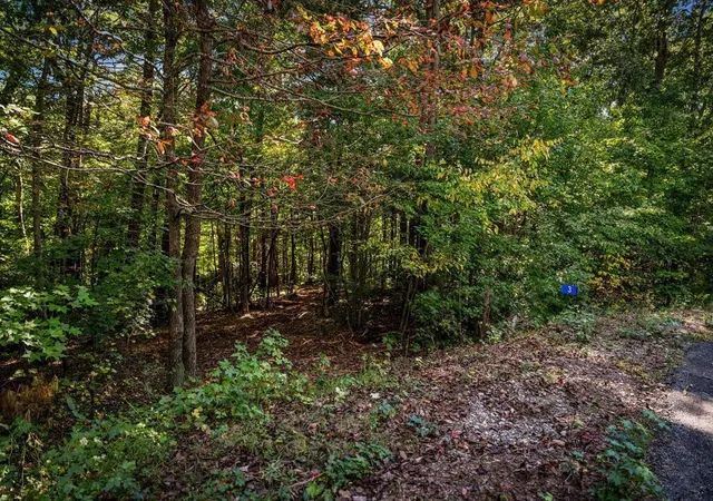Photo 3 of Land for sale at Lt 2 Pheasant Tail Tr, Ellijay, GA 30536 | MLS# 7858689 | Listing updated on 2026-10-26