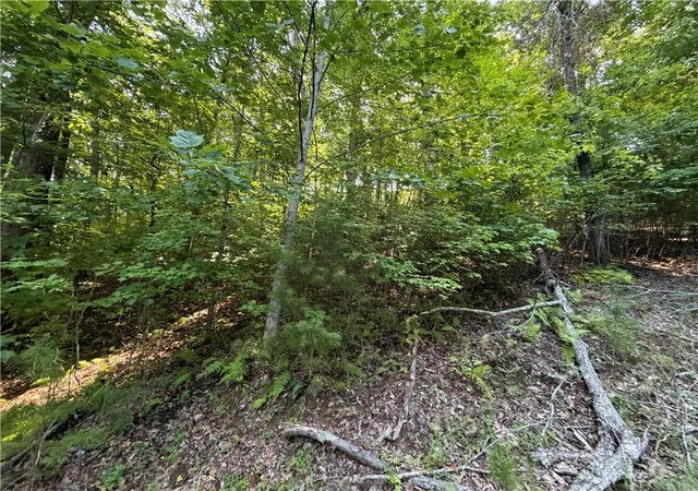 Photo 3 of Land for sale at 6 & 7 Ml Ridge Rd, Hiawassee, GA 30546 | MLS# 7816603 | Listing updated on 2026-09-03