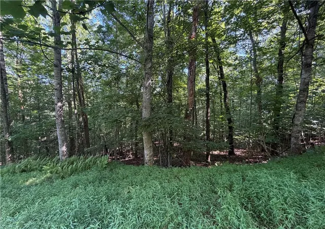 Photo 3 of Land for sale at 5 Ml Ridge Rd, Hiawassee, GA 30546 | MLS# 7816596 | Listing updated on 2026-09-03
