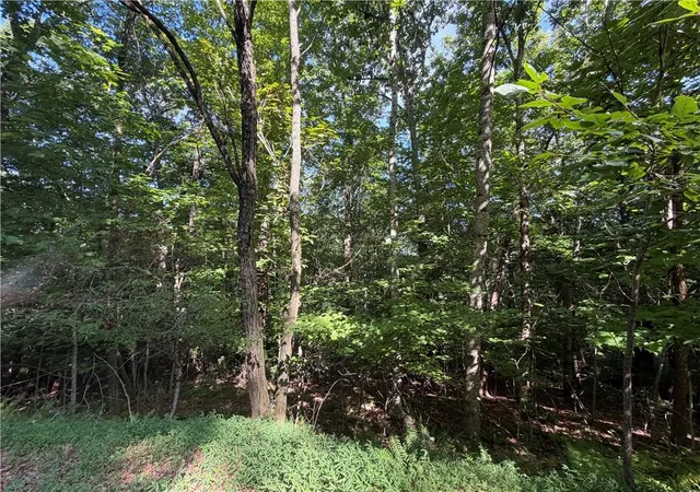 Photo 3 of Land for sale at 5 Ml Ridge Rd, Hiawassee, GA 30546 | MLS# 7816596 | Listing updated on 2026-09-03