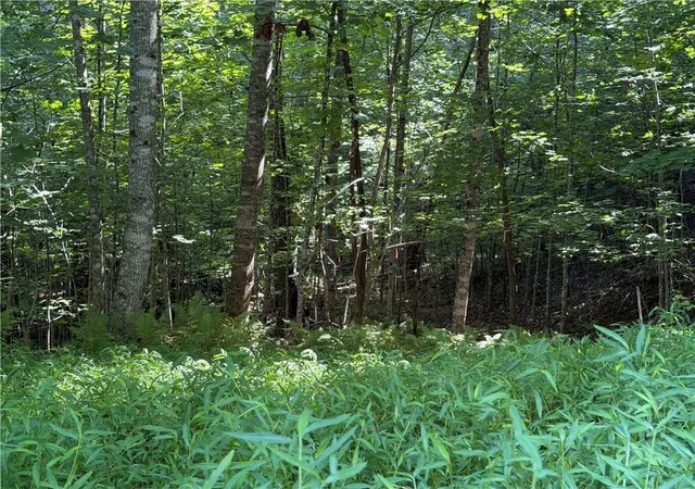 Photo 4 of Land for sale at 5 Ml Ridge Rd, Hiawassee, GA 30546 | MLS# 7816596 | Listing updated on 2026-09-03