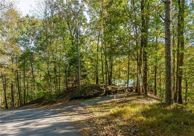 Photo 4 of Single family home for sale at 351 Nexus Dr, Ellijay, GA 30540 | MLS# 7858014 | Listing updated on 2026-10-26