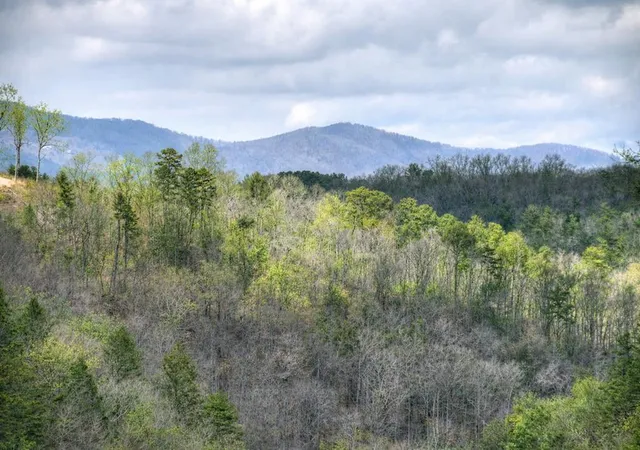 Photo 1 of Sale Pending at 250 Noah Cir, Ellijay, GA 30540 | MLS# 7848336 | Listing updated on 2026-10-06