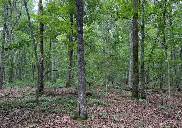Photo 2 of Land for sale at 0 Bunratty Way Ne, Kingston, GA 30145 | MLS# 7805381 | Listing updated on 2026-09-02