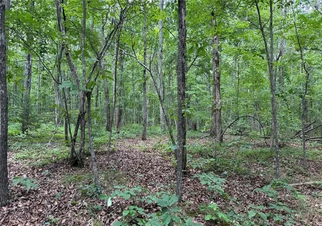 Photo 3 of Land for sale at 0 Bunratty Way Ne, Kingston, GA 30145 | MLS# 7805381 | Listing updated on 2026-09-02