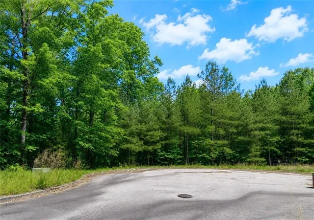 Photo 4 of Land for sale at 0 Castona Ln, Douglasville, GA 30135 | MLS# 7833895 | Listing updated on 2026-09-08