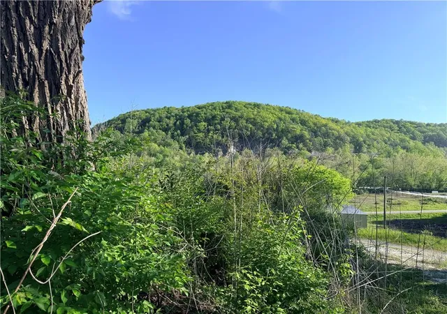 Photo 4 of Land for sale at 294 Holt Rd, Marble Hill, GA 30148 | MLS# 7841242 | Listing updated on 2026-09-30