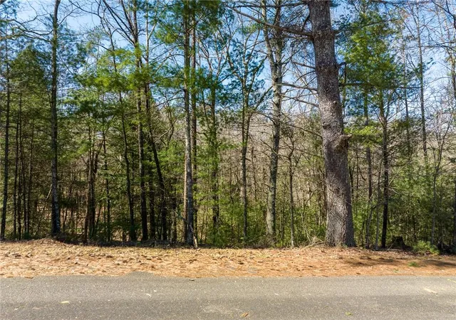 Photo 1 of Land for sale at 0 Shenendoa Dr, Ellijay, GA 30540 | MLS# 7832592 | Listing updated on 2026-09-16