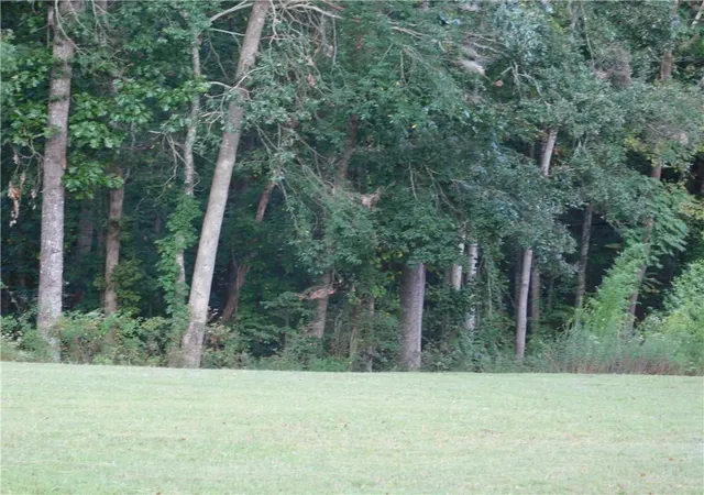 Photo 2 of Land for sale at 180 Irvin Dr, Dawsonville, GA 30534 | MLS# 7842512 | Listing updated on 2026-09-30