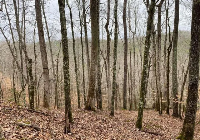 Land for sale at 4ac Scenic Way, Ellijay, GA 30540 | MLS# 7836596