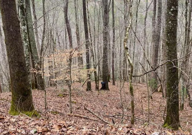 Photo 2 of Land for sale at 4ac Scenic Way, Ellijay, GA 30540 | MLS# 7836596 | Listing updated on 2026-09-12