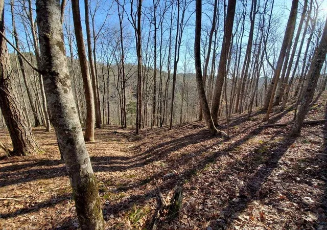 Photo 33 of Land for sale at 4ac Scenic Way, Ellijay, GA 30540 | MLS# 7836596 | Listing updated on 2026-09-12