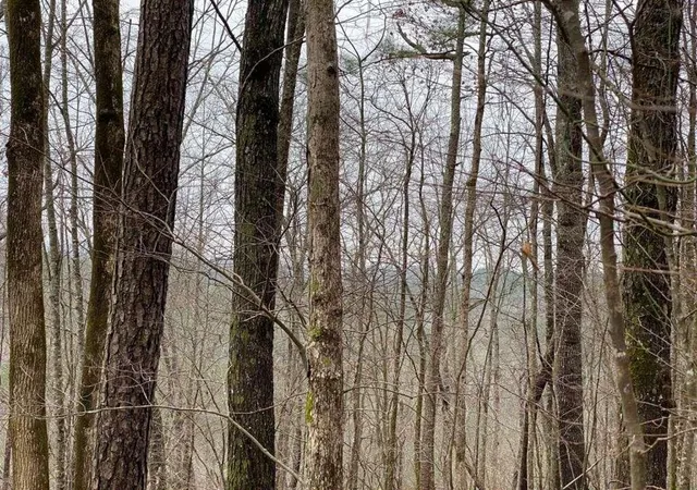 Photo 2 of Land for sale at 4ac Scenic Way, Ellijay, GA 30540 | MLS# 7836596 | Listing updated on 2026-09-12