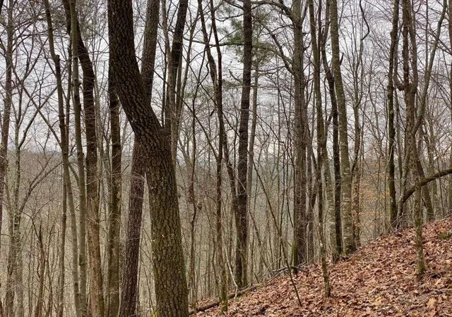 Photo 3 of Land for sale at 4ac Scenic Way, Ellijay, GA 30540 | MLS# 7836596 | Listing updated on 2026-09-12