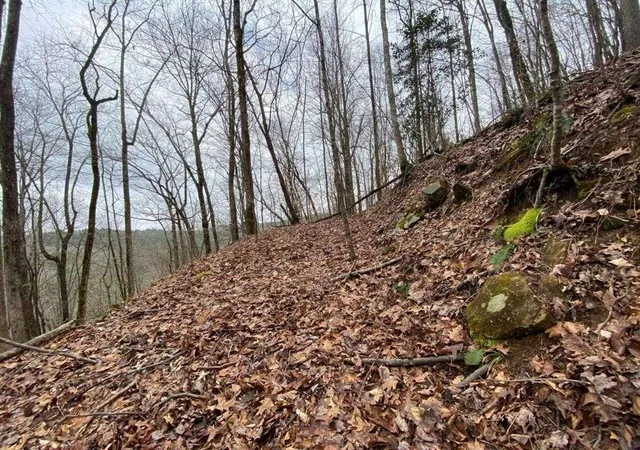 Photo 4 of Land for sale at 4ac Scenic Way, Ellijay, GA 30540 | MLS# 7836596 | Listing updated on 2026-09-12