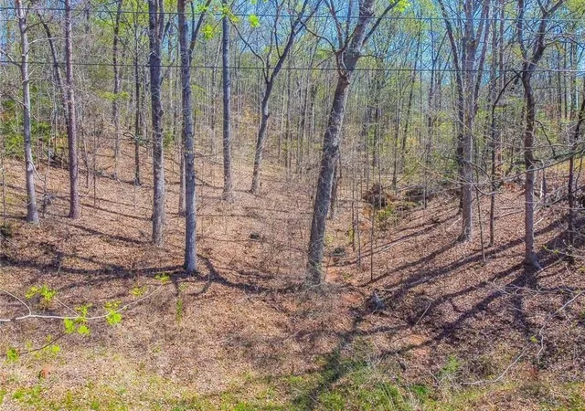 Photo 2 of Land for sale at 0 Arrow Ln, Lavonia, GA 30553 | MLS# 7840980 | Listing updated on 2026-10-08