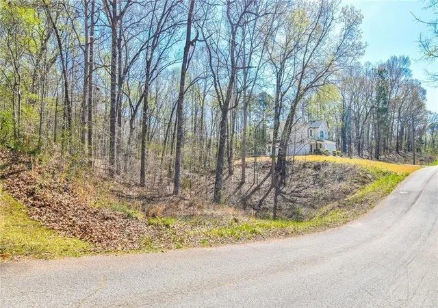 Photo 3 of Land for sale at 0 Arrow Ln, Lavonia, GA 30553 | MLS# 7840980 | Listing updated on 2026-10-08