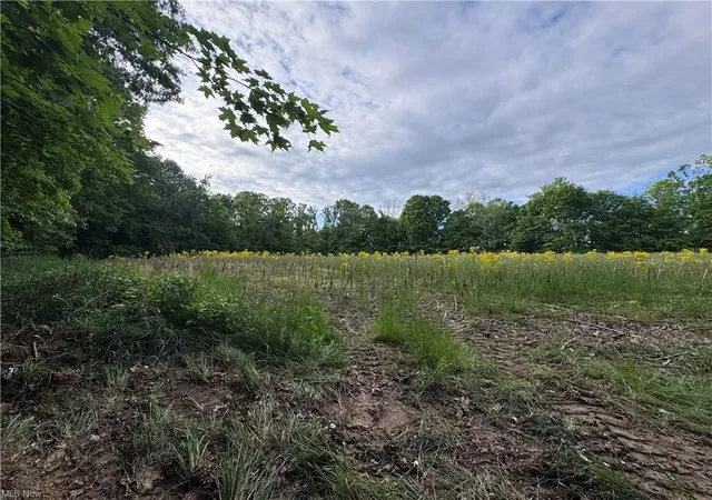 Photo 1 of Land for sale at 10530 Walker Hl Rd #10.530 ac, Stockport, OH 43787 | MLS# 226036254 | Listing updated on 2026-10-05