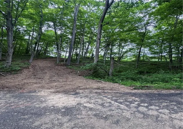 Photo 2 of Land for sale at 10530 Walker Hl Rd #10.530 ac, Stockport, OH 43787 | MLS# 226036254 | Listing updated on 2026-10-05