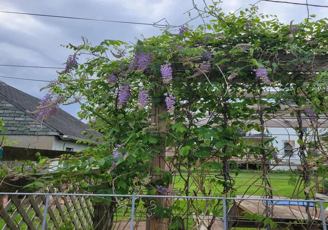 Photo 4 of Single family home for sale at 501 Wehrle Ave, Newark, OH 43055 | MLS# 226031106 | Listing updated on 2026-09-19