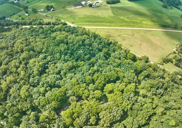 Photo 64 of Land for sale at 0 Ohio 95, Bellville, OH 44813 | MLS# 226033482 | Listing updated on 2026-09-03
