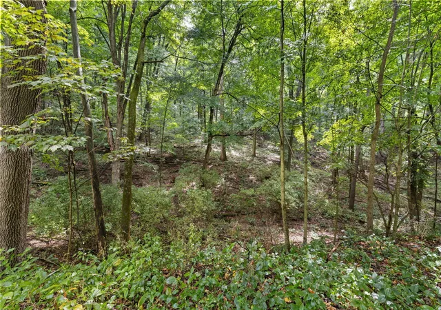 Photo 3 of Single family home for sale at 105 Mill Rd, Bellville, OH 44813 | MLS# 226033412 | Listing updated on 2026-09-30