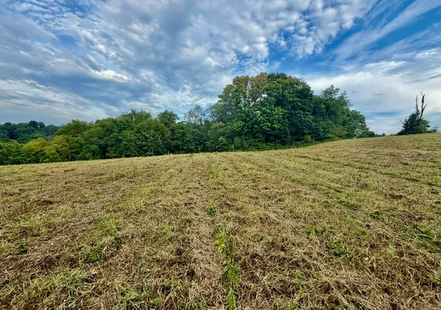 Photo 3 of Land for sale at 0 US Hwy 22, Mount Perry, OH 43760 | MLS# 226033193 | Listing updated on 2026-09-15