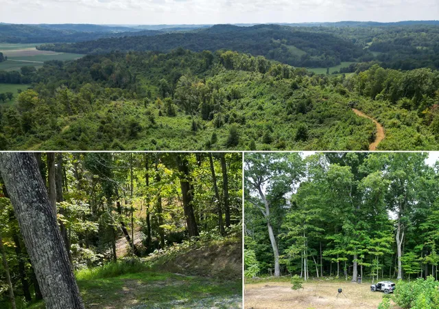 Photo 1 of Land for sale at 9957 County Rd 5, Pedro, OH 45659 | MLS# 226033771 | Listing updated on 2026-09-04