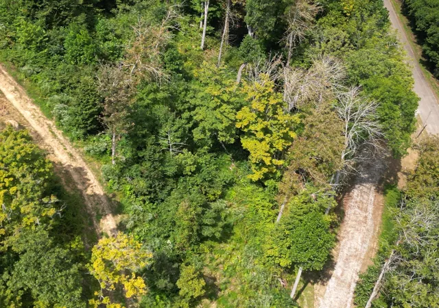 Photo 4 of Land for sale at 9957 County Rd 5, Pedro, OH 45659 | MLS# 226033771 | Listing updated on 2026-09-04