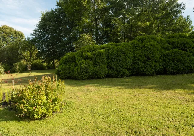 Photo 141 of Single family home for sale at 7500 Township Rd 81, Bellville, OH 44813 | MLS# 226034426 | Listing updated on 2026-10-14