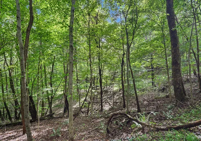 Photo 3 of Land for sale at 0 SE Taos Ln, Sugar Grove, OH 43155 | MLS# 226036464 | Listing updated on 2026-10-09