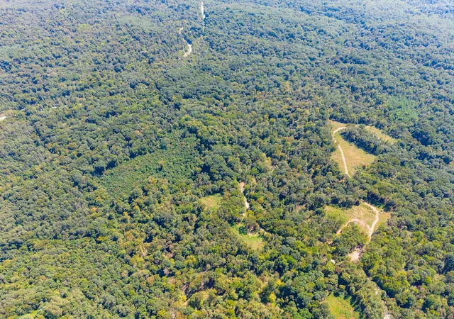 Photo 4 of Land for sale at 0 County Rd 269, Glouster, OH 45732 | MLS# 226035116 | Listing updated on 2026-10-06