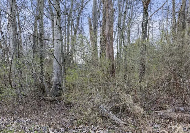 Photo 3 of Land for sale at 0 King Rd, Thornville, OH 43076 | MLS# 226035226 | Listing updated on 2026-09-25