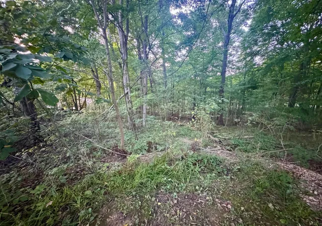 Photo 2 of Land for sale at 0 Tarkman Dr, Nashport, OH 43830 | MLS# 226035433 | Listing updated on 2026-09-17