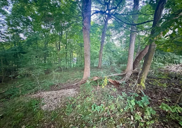 Photo 3 of Land for sale at 0 Tarkman Dr, Nashport, OH 43830 | MLS# 226035433 | Listing updated on 2026-09-17