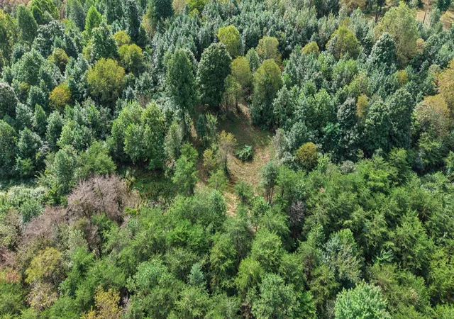 Photo 3 of Land for sale at 0 Ohio 160, Hamden, OH 45634 | MLS# 226035837 | Listing updated on 2026-09-19