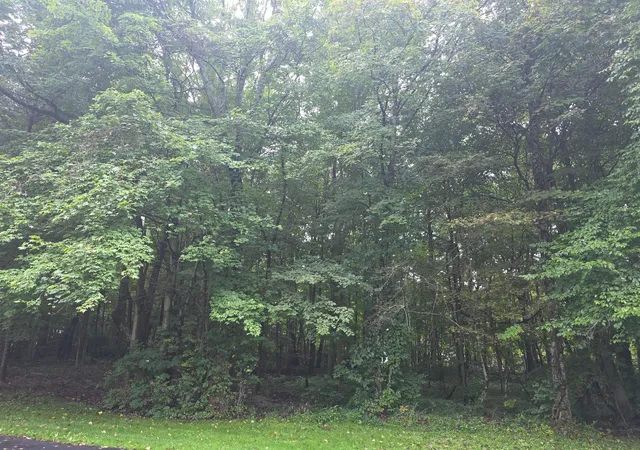 Photo 1 of Land for sale at 5205 County Rd 9, Edison, OH 43320 | MLS# 226035969 | Listing updated on 2026-10-02