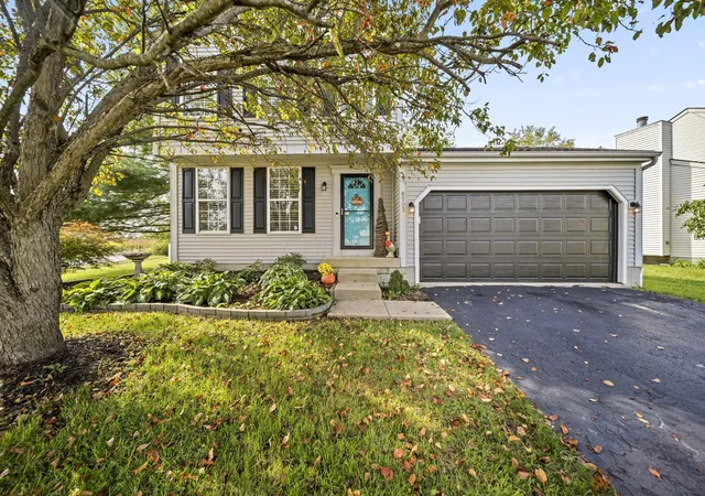 Photo 3 of Single family home for sale at 8503 Carbine Pl, Galloway, OH 43119 | MLS# 226036115 | Listing updated on 2026-09-26