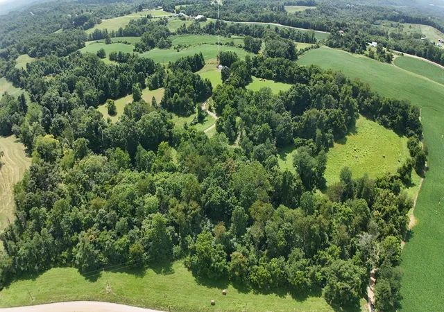 Photo 4 of Land for sale at 0 Downing Rd, Stockport, OH 43787 | MLS# 226036108 | Listing updated on 2026-09-22