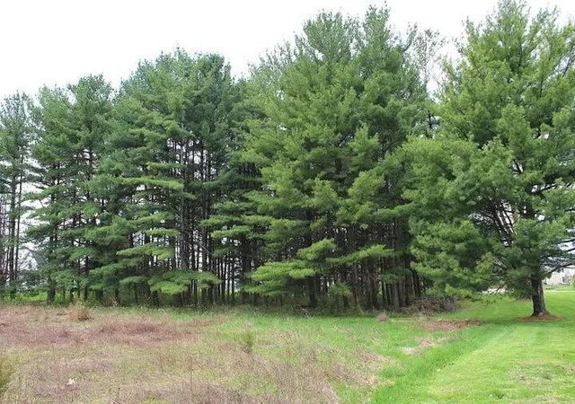 Photo 3 of Land for sale at 0 North Rd, Lewis Center, OH 43035 | MLS# 226036349 | Listing updated on 2026-09-29