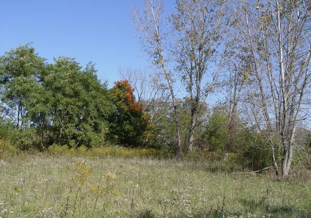 Photo 4 of Land for sale at 0 State Route 37 E, Sunbury, OH 43074 | MLS# 226038818 | Listing updated on 2026-10-24