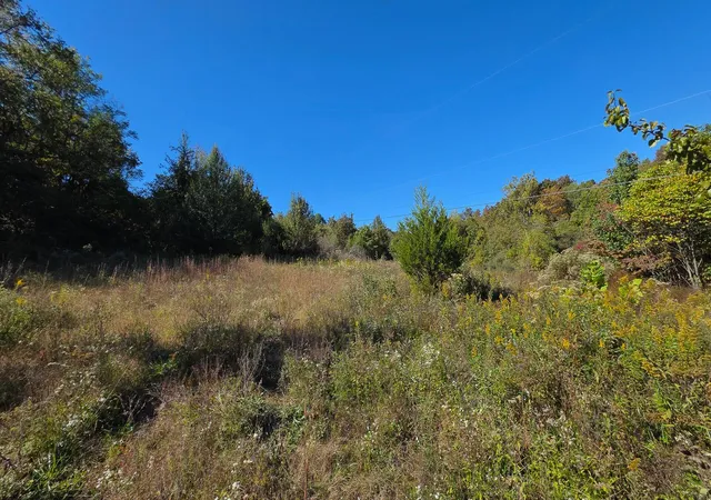 Photo 4 of Land for sale at 871 Keiser Rd, Waverly, OH 45690 | MLS# 226039490 | Listing updated on 2026-10-16