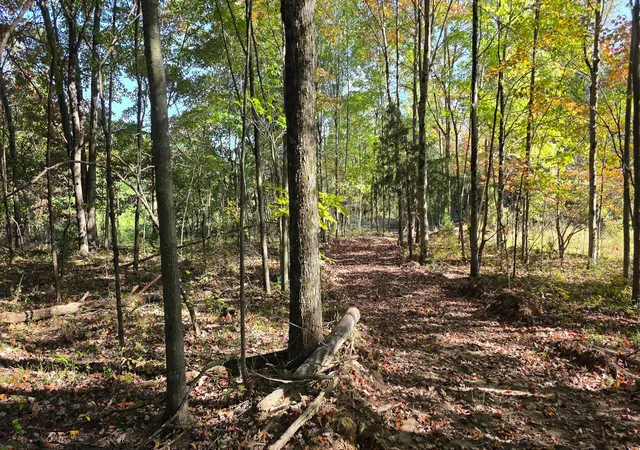 Photo 2 of Land for sale at 961 Keiser Rd, Waverly, OH 45690 | MLS# 226039739 | Listing updated on 2026-10-19